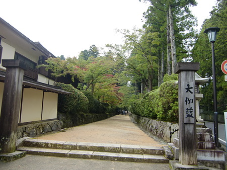 CIMG7964
