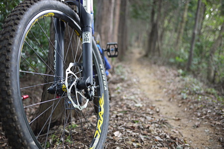 Trail Ride