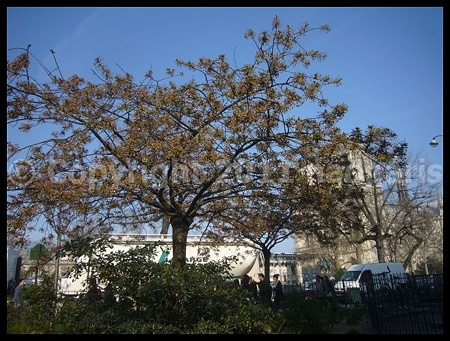 P2680427
