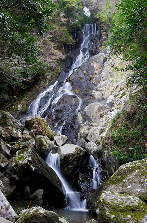 恵の滝　2012.2.27-1