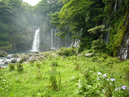 白糸の滝　2004.6.23-2