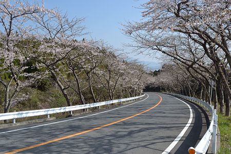20110417_081958