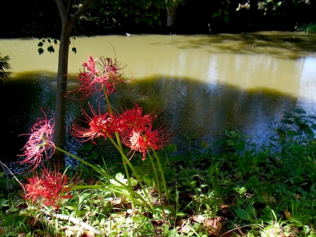 R0015905