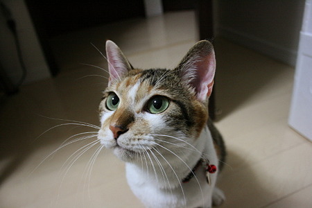 2010092701
