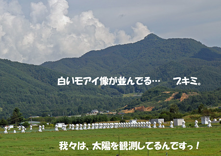 白いモアイ像たち
