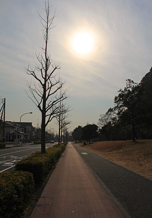 aIMG_3164
