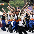 Photos: パワフル_03 - 良い世さ来い2010 新横黒船祭