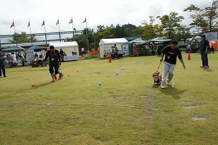 DSC03391