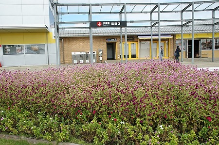 DSC03452