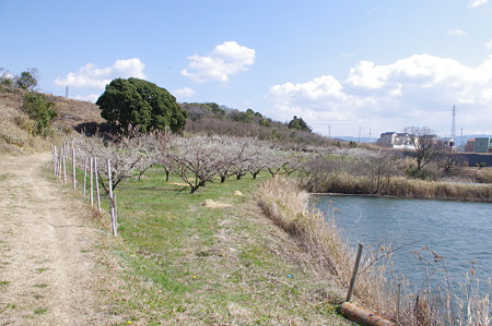 画像 011