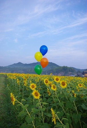 IMGP9189_0724