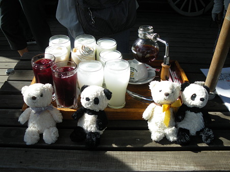 ０７．ベアーズ