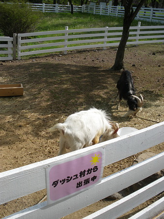 IMGP8120