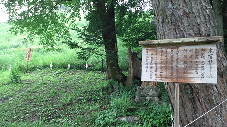 二日目御柱祭坂１