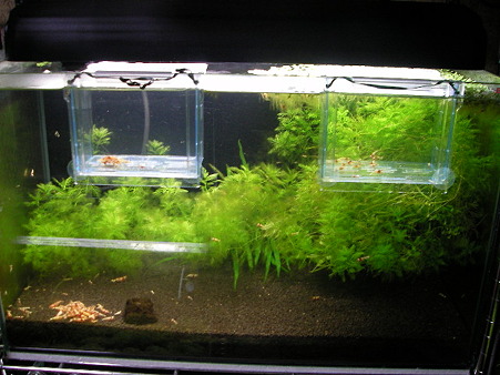 2011 02/27 001