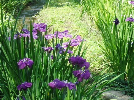 DSCF0060