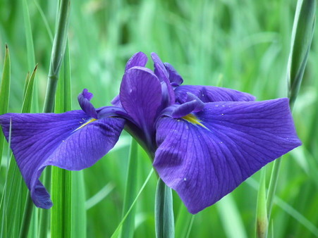 DSCF0479