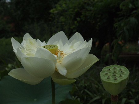 2011_07280187