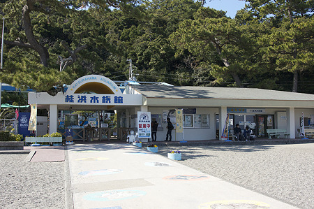 katurahama110311331
