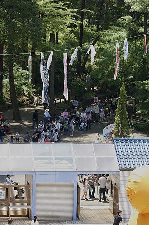 ichikawa110508265