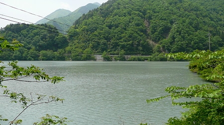 雨畑湖沿いに続く林道