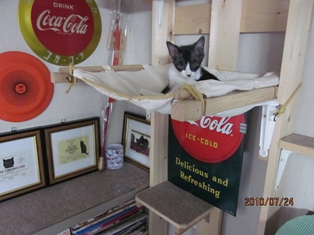 IMG_0961jl