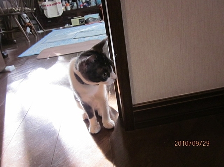 IMG_9332se