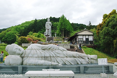 2012年05月04日_DSC_2390