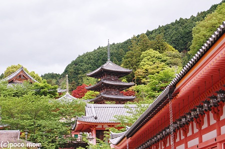 壷阪寺2012年05月04日_DSC_2411