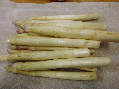 2011年06月15日_P6150563