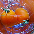 Photos: トマトをオシャレに…４