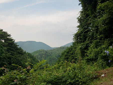 CIMG0038 CIMG0038