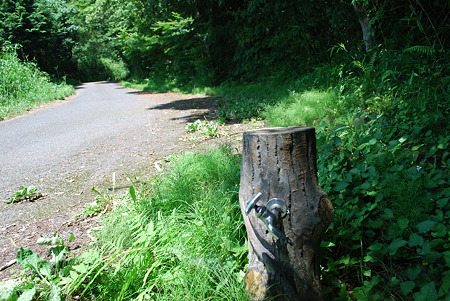 DSC_0623 DSC_0623