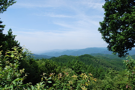 DSC_0642 DSC_0642