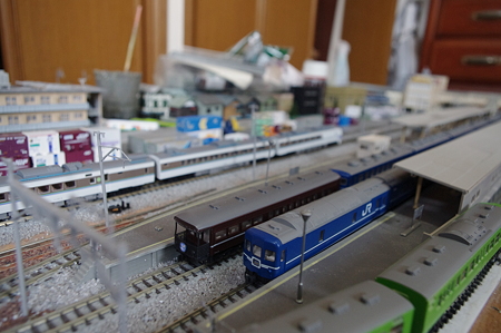 IMGP5103