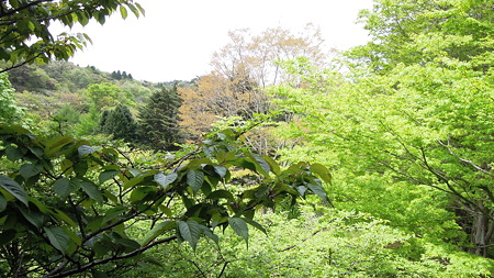 DSCN2121