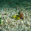 Photos: P8150307