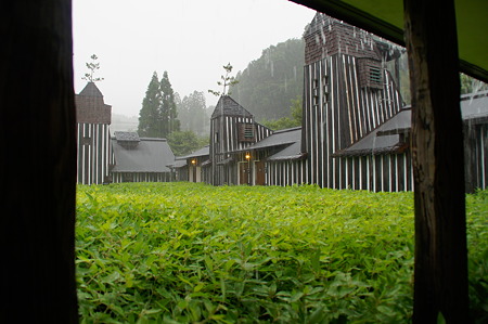 DSC01606