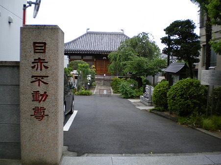 IMGP1811