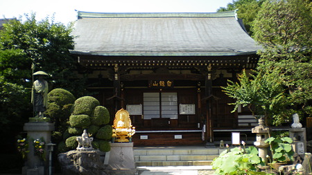 IMGP5525