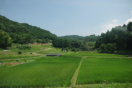 IMGP2280