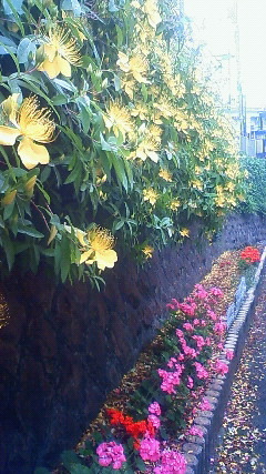 201006090851000