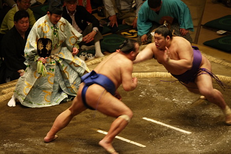 高見盛　常幸龍