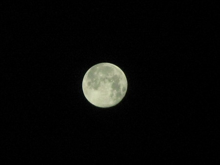 IMG_6365