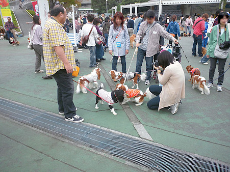 sdc2011_3
