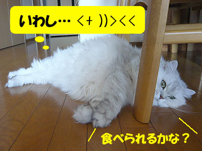 10090501