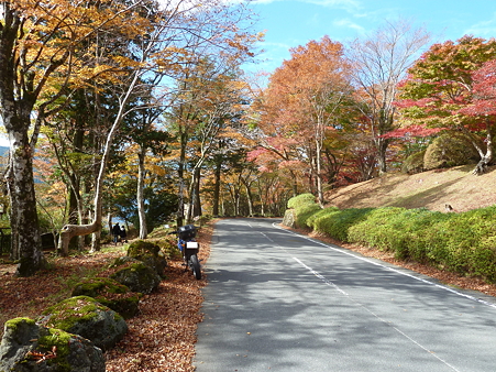 2010箱根伊豆 021加工