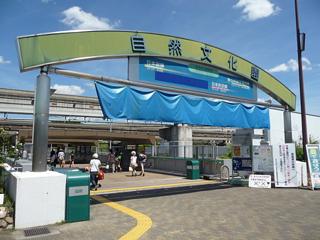 100829-大阪→万博公園 (21)
