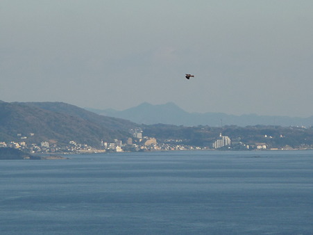 110120-展望灯台 (33)
