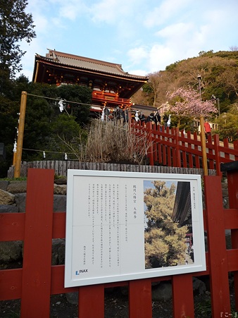 110308-鶴岡八幡宮 (6)